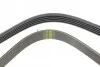Ремінь генератора Fiat Palio 1.2 97-/Land Rover Freelander 1.8i 98-06 HUTCHINSON 1188 K 5 (фото 3)