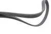 Ремінь генератора VW T5 1.9TDI/VW Caddy III 1.9TDI/2.0 (6DPK1195) HUTCHINSON 1195 KDF 6 (фото 3)