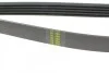 Ремінь генератора Mitsubishi Sigma 3.0 V6 90-96 HUTCHINSON 1237 K 5 (фото 4)