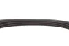 Ремінь генератора Fiat Scudo/Opel Combo 1.7D/DTI/2.0D 01- (6PK1247) HUTCHINSON 1247 K 6 (фото 4)