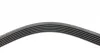 Ремінь генератора Ford Focus 1.8/2.0 04-12 (6PK1249) HUTCHINSON 1249 SK 6 (фото 4)