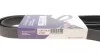 Ремінь генератора Ford Focus 1.8/2.0 04-12 (6PK1249) HUTCHINSON 1249 SK 6 (фото 6)