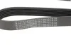 Ремінь генератора Fiat Doblo 1.3D Multijet/1.3JTD/Ford Focus 1.8/2.0 04- (6PK1310) HUTCHINSON 1310 K 6 (фото 2)