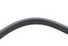Ремінь генератора Opel Astra/Corsa 1.0/1.2/1.4 00-/Suzuki Wagon R 1.0/1.2 04-05 (5PK1355) HUTCHINSON 1355 K 5 (фото 4)
