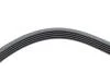 Ремінь генератора Opel Astra/Corsa 1.0/1.2/1.4 00-/Suzuki Wagon R 1.0/1.2 04-05 (5PK1355) HUTCHINSON 1355 K 5 (фото 4)