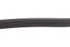 Ремінь генератора Citroen Berlingo/Jumpy/Peugeot Expert/Partner 1.6HDI (6PK1355) HUTCHINSON 1355 K 6 (фото 3)