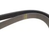Ремінь генератора Citroen Berlingo/Fiat Scudo/Peugeot Partner 1.9D 98- (6PK1387) HUTCHINSON 1387 K 6 (фото 4)