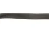 Ремінь генератора Citroen Berlingo/Fiat Scudo 1.9D (6PK1435) HUTCHINSON 1435 K 6 (фото 5)