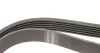 Ремінь генератора Audi A4 1.6-2.0 00-08 (6PK1570) HUTCHINSON 1570 K 6 (фото 4)