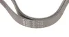 Ремінь генератора Audi A4 1.6-2.0 00-08 (6PK1570) HUTCHINSON 1570 K 6 (фото 5)