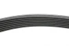 Ремінь генератора BMW 5 (E39)/7 (E38) 3.5i/4.0i 93-04 HUTCHINSON 1626 K 7 (фото 2)
