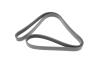 Ремінь генератора Audi 80/A6/A8 2.8 94-05/Ford Transit 2.5DI/TD 91-00 (6PK1630) HUTCHINSON 1630 K 6 (фото 5)