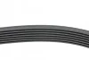 Ремінь генератора BMW 5 (E39)/7 (E38) 3.5i/4.0i 96-03 (7PK1635) HUTCHINSON 1637 K 7 (фото 2)
