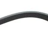 Ремінь генератора VW LT 2.8TDI 96KW/Ford Transit 2.0DI 00-14 (6PK1642) HUTCHINSON 1642 K 6 (фото 4)