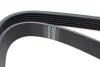 Ремінь генератора Fiat Scudo/Citroen Berlingo/VW Golf IV 1.8/1.9TDI 97- (6PK1660) HUTCHINSON 1660 K 6 (фото 2)