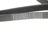 Ремінь генератора Citroen Berlingo 1.9D/ VW LT 2.8TDI 116KW (6PK1682) HUTCHINSON 1682 K 6 (фото 2)