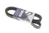 Ремінь генератора Renault Megane II 2.0 dCi 05-09 (7PK1705) HUTCHINSON 1705 K 7 (фото 1)