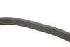 Ремінь генератора Citroen Berlingo/Peugeot Partner 1.6HDI/Fiat Scudo 1.6D (6PK1710) HUTCHINSON 1710 K 6 (фото 2)