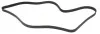 Ремінь генератора Ford Connect 1.8TDCi 06-14/Citroen C5 2.0HDi 00- (6PK1745) HUTCHINSON 1745 K 6 (фото 3)