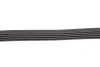 Ремінь генератора Renault Kangoo 1.4/1.6i, 97- (5PK1750) HUTCHINSON 1750 K 5 (фото 3)