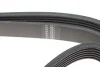 Ремінь генератора MB W202/210 M111/Ford Transit 2.301-06 (6PK1775) HUTCHINSON 1775 K 6 (фото 4)