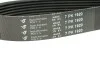Ремінь генератора Renault Master/Opel Movano 3.0 DCI 03- (7PK1920) HUTCHINSON 1920 K 7 (фото 3)