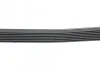Ремінь генератора Honda Accord VIII 2.0 I 08-/ Land Rover Range Rover II 3.9-4.6 94-02 HUTCHINSON 2080 K 7 (фото 2)