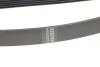 Ремінь генератора Honda Accord VIII 2.0 I 08-/ Land Rover Range Rover II 3.9-4.6 94-02 HUTCHINSON 2080 K 7 (фото 3)