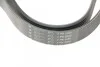 Ремінь генератора Honda Accord VIII 2.0 I 08-/ Land Rover Range Rover II 3.9-4.6 94-02 HUTCHINSON 2080 K 7 (фото 4)