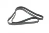 Ремінь генератора Honda Accord VIII 2.0 I 08-/ Land Rover Range Rover II 3.9-4.6 94-02 HUTCHINSON 2080 K 7 (фото 5)