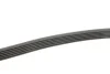 Ремінь генератора MB W124/W126/W201/W202 3.0 -96/VW LT 2.5TDI (6PK2172) HUTCHINSON 2172 K 6 (фото 4)