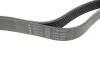 Ремінь генератора Kia Sorento 2.5 CRDI 06-/Land Rover Discovery/Range Rover 88-04 HUTCHINSON 2257 K 7 (фото 2)