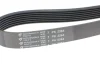 Ремінь генератора Honda Accord 2.2 i-CDTi 04-08 (7PK2264) HUTCHINSON 2264 K 7 (фото 3)