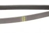 Ремінь генератора MB W211 55 AMG 02-08 (6PK2442) HUTCHINSON 2442 K 6 (фото 4)