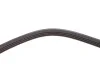 Ремінь генератора Ford Transit 2.0 TDCI 00-06 (4PK735) HUTCHINSON 735 K 4 (фото 3)