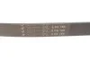 Ремінь генератора Citroen C4/Peugeot 307 1.6HDi 04- (6PK780) HUTCHINSON 780 K 6 (фото 3)