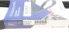 Фото 6 - ремінь генератора Fiat Punto/Stilo 1.9 JTD 99-06 (6PK813) HUTCHINSON 813 K 6 Ремінь генератора Fiat Punto/Stilo 1.9 JTD 99-06 (6PK813) HUTCHINSON 813 K 6 (фото 6)