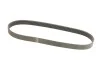 Ремінь генератора Ford Transit 2.0Di/TDCi 00- (-AC) (6PK831) HUTCHINSON 831 SK 6 (фото 2)