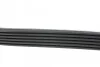Ремінь генератора VW Golf VI/Caddy III 1.6-2.0 TDI 10- ALT, (-AC) HUTCHINSON 842 SK 6 (фото 3)
