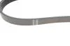 Ремінь генератора Ford Focus 1.4/1.6 Ti 03- (5PK868) HUTCHINSON 868 SK 5 (фото 2)