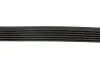 Ремінь генератора Fiat Scudo 1.6/Renault Kangoo 1.9D 97- (6PK894) HUTCHINSON 894 K 6 (фото 3)