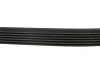 Ремінь генератора Fiat Ducato 2.5/2.8 JTD 97-02 (6PK946) HUTCHINSON 946 K 6 (фото 3)