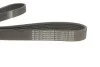 Ремінь генератора Citroen Berlingo/VW Golf III 1.4-2.0i 91- (6PK975) HUTCHINSON 975 K 6 (фото 3)