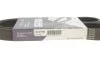 Ремінь генератора Citroen Berlingo/VW Golf III 1.4-2.0i 91- (6PK975) HUTCHINSON 975 K 6 (фото 6)