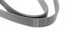 Ремінь генератора VW Polo/Up 11-/Skoda Fabia 14-/Seat Ibiza 1.0/1.6 15- (6PK989) HUTCHINSON 989 SK 6 (фото 3)