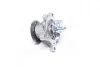 Насос охолоджуючої рідини Hyundai/Kia/Mobis 251002B700 (фото 1)