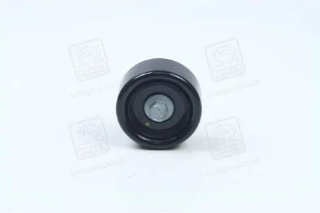Ролик обвідний Hyundai/Kia/Mobis 2528725010