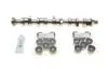 Комплект розподільчого валу VW T5 2.5 TDI 03-09, 96/120/128kw, (BNZ,AXD,BPC,AXE,BLJ) INA 428 0040 30 (фото 1)