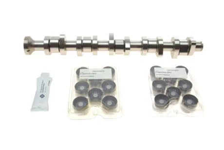 Комплект розподільчого валу VW T5 2.5 TDI 03-09, 96/120/128kw, (BNZ,AXD,BPC,AXE,BLJ) INA 428 0040 30