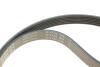 Комплект ременя генератора BMW 1 (E87/E88)/3 (E46/E90)/5 (E60) 1.6-2.0 01-10, N46B20, (6PK1870) INA 529 0044 10 (фото 4)